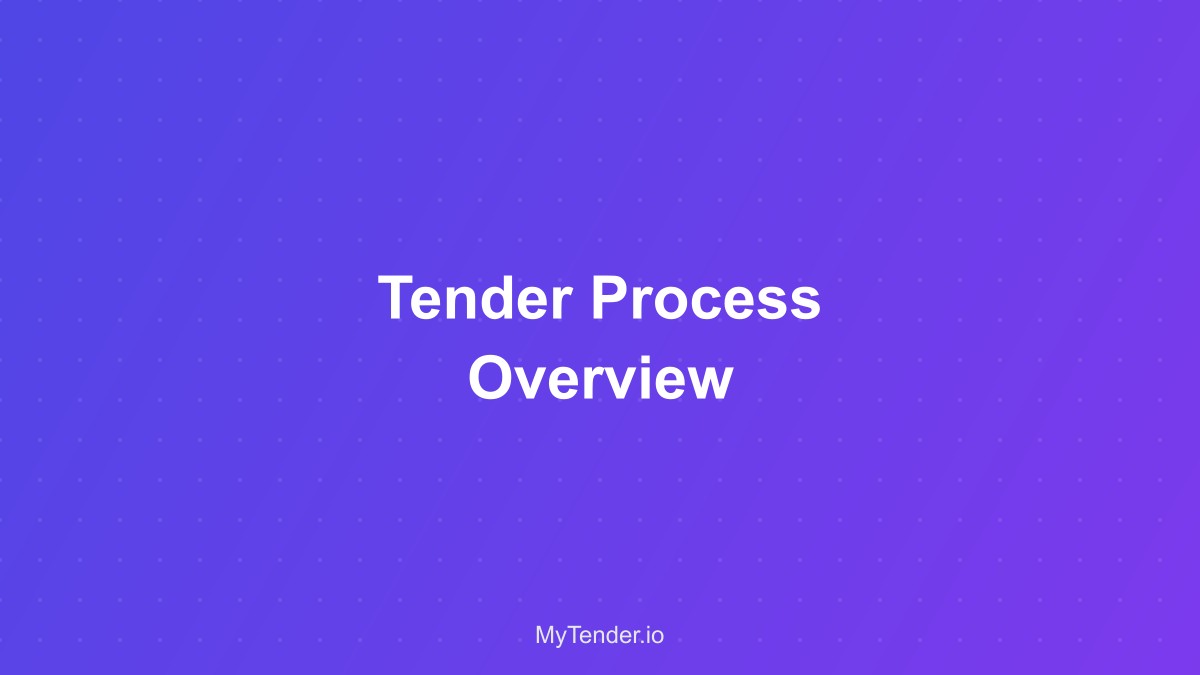 Tender writing process overview showing the complete workflow from requirements to submission